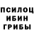 Псилоцибиновые грибы прущие грибы Mrs. Who
