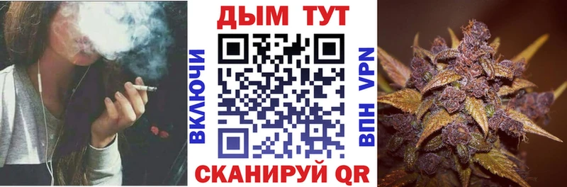 Канабис OG Kush Полевской